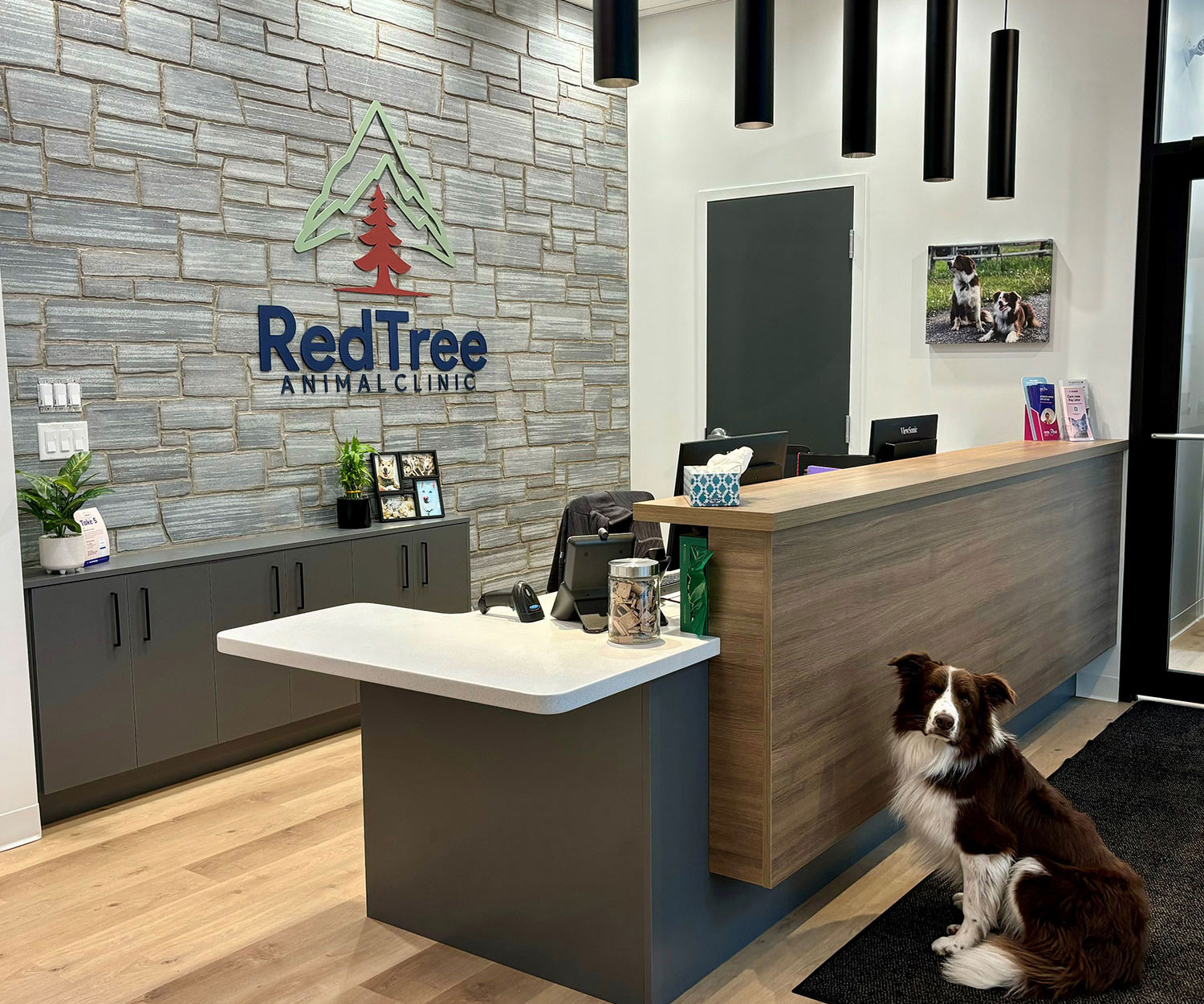 Red Tree Animal Clinic Reception