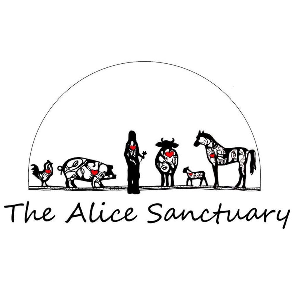 Red Tree Animal Clinic Veterinary Services - The Alice Sanctuary